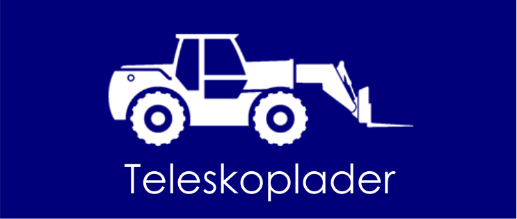 Teleskoplader kaufen